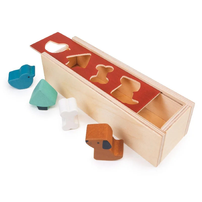 Solid Wood Stacking Cups with Different Sizes for Sensory Play and Motor SkillsPet Shape Sorting Box