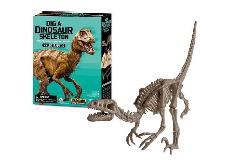 Natural Finish Wooden Educational Toys with a Music - Making Function for 3 - 5 Year OldsDig a Dinosaur Skeleton- Velociraptor