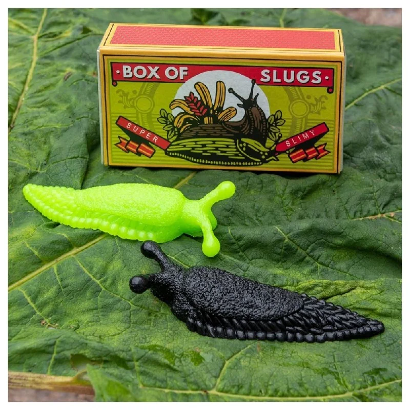 Eco - Friendly Wooden Educational Toys with a Gardening and Plant - Growing KitRex London Box of Slugs