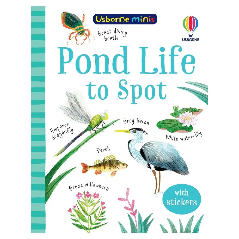 Large - Scale Solid Wood Educational Toys for Group Learning and CollaborationUsborne Mini Pond Life To Spot