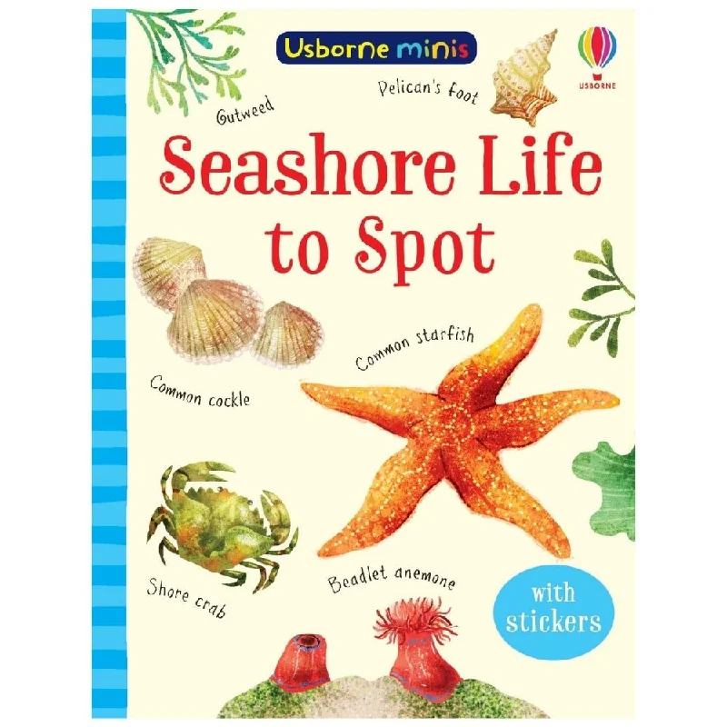 Hand - Made Wooden Educational Toys with a Space - Exploration SimulationUsborne Mini Seashore Life To Spot