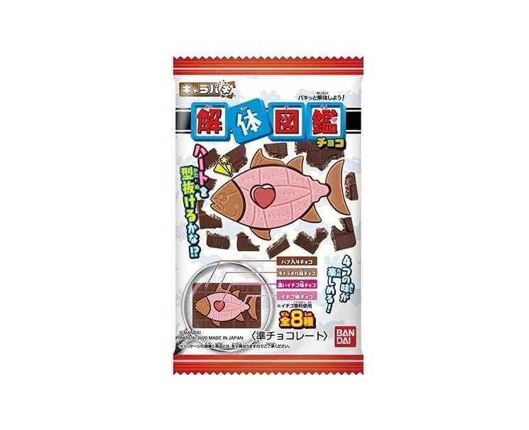 Magnetic Wooden Puzzles with Educational Math Symbols for School - Age ChildrenFish Puzzle Chocolate